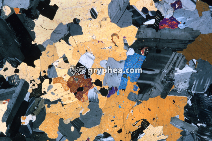 Syénite x2 - gryphea.com